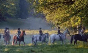 Screen Shot 2018-04-27 at 1.40.38 PM