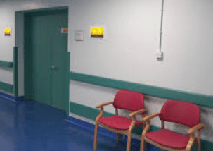 Screen Shot 2018-09-19 at 11.13.04 AM