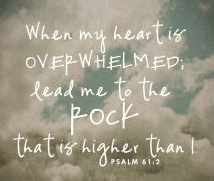 Screen Shot 2018-11-17 at 8.45.45 AM.png