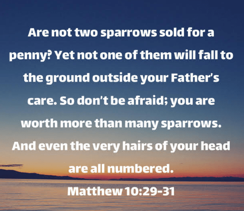 Screen Shot 2019-08-24 at 7.56.07 AM.png